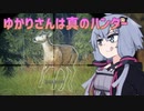 【theHunter: Call of the Wild】ゆかりさんは真のハンター【VOICEROID実況プレイ】