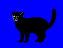 ねこ矛盾兄貴BB