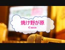 [オフボPRC] 焼け野が原 / Cocco　(offvocal　歌詞：あり /　ガイドメロディーなし)