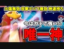 【実況】ポケモン剣盾 冠の雪原でたわむれる 唯一神エンテイ