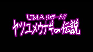 資料「ヤツユメウナギの伝説」