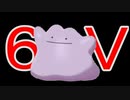 【実況】ランクマッチの為に６Ｖメタモン捕獲作戦【ポケットモンスター　ソード・シールド】