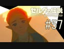 【ゼルダの伝説ブレスオブザワイルド＃57】彼女は決意するお姫様【はるの積みゲー崩し】