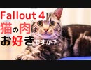 【フォールアウト４】ネコ好きな人に会いにいったよ【トレーダー】