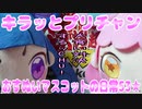 キラッとプリチャン～おすぬいマスコットの日常53★～