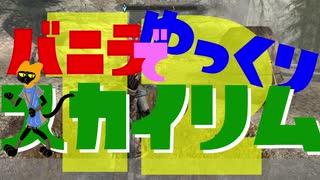 バニラでゆっくりスカイリム12