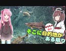 きりたん・茜のそこに目的地がある限り 第9話