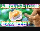 人間で言うと100歳！だいすけのお誕生日会