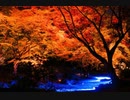 風に聞け201103　Savior Search - DJ Freedem