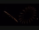 2020.10.24 名港水上芸術花火 (12)