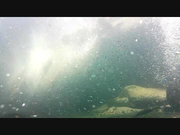 【水中撮影】幻想的な水中動画04