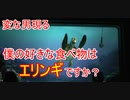 【変な男現る】僕の好きな食べ物はエリンギですか？【タートルトーク】東京ディズニーシー