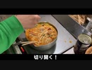 【大ふざけ】ワイルドリフトに行くつもりだった【実写】
