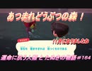 【あつ森】前人未島へようこそ！#164【あつまれどうぶつの森】