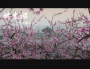 【ボイロ朗読】桃太郎 - 芥川龍之介