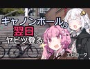 第94位：３０歳から始めるロードバイクEpilogue~キャノボ翌日ヤビツ編~