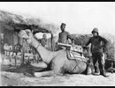 Empire total war ムガル帝国の野望　part3 （ゆっくり実況）