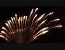 2020.10.24 名港水上芸術花火 (4)