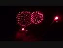 2020.10.24 名港水上芸術花火 (1)