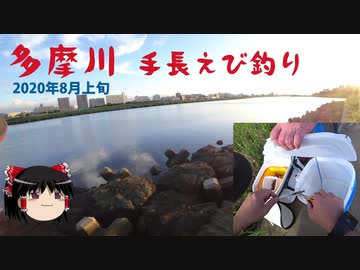 多摩川　手長えび釣り