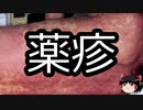 【ゆっくり朗読】ゆっくりさんと不思議な病気 その256