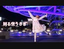 【初投稿】回る空うさぎ　踊ってみた【生菓】