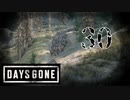【Days Gone】超大型作戦【PART30】