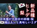 苗泥案件...　【江戸川 media lab HUB】お笑い･面白い･楽しい･真面目な海外時事知的エンタメ