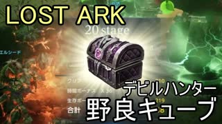 LOST ARK　デビルハンター 野良キューブ