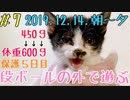 【子猫】保護して5日目は段ボールの外の世界へ大冒険  猫風邪は相変わらず悪いです…