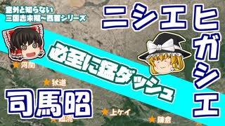 【意外と知らない三国志末期～西晋】司馬昭、ニシエヒガシエ【司馬昭編：第2回】