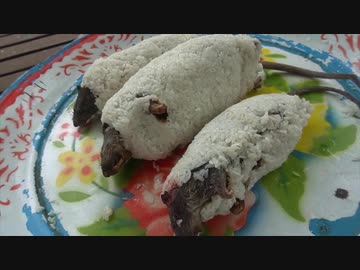ホモと学ぶ創作ネズミ料理