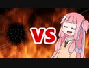 茜ちゃんVSウニ