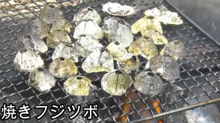 【ぴ】恐怖！フジツボを焼いて食べたら恐ろしい事が起こった。フジツボの逆襲