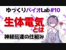 【バイオLab#10】生物は電気信号を使っている?! 神経伝達の仕組み 【ゆっくり解説】