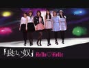 【スマイレージ】「良い奴」 踊ってみた【Hello♡Holic】dance cover