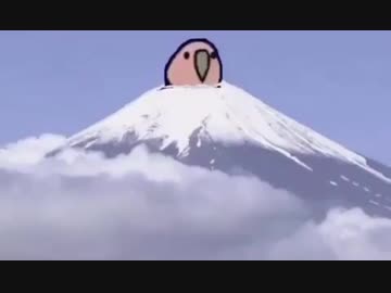初日の出(カカポ)