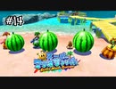 【マリオサンシャイン】一番でかいスイカはこれだ！！#14