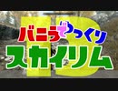 バニラでゆっくりスカイリム13