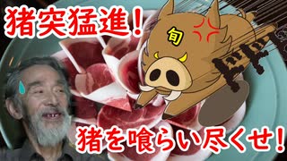 【猪突猛進！】これからが旬！いのししの、知識も何もかも全て喰らい尽くせ！！！