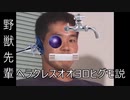 野獣先輩ヘラクレスオオヨロヒグモ説