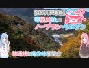【GRヤリス車載】琴葉姉妹のノープラン・リエゾン＃２（神通峡と庵谷峠展望台）