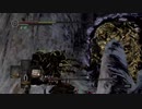 持たざる者が忘れ物をしたようです40【DARKSOULS縛りプレイ】