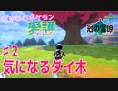 【実況】だまむのポケモン愛護のたび「冠の雪原」 ＃２