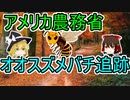 アメリカ農務省のオオスズメバチ追跡手法【ゆっくり解説】