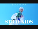 【Stray Kids】 Blueprint   Video【和訳】