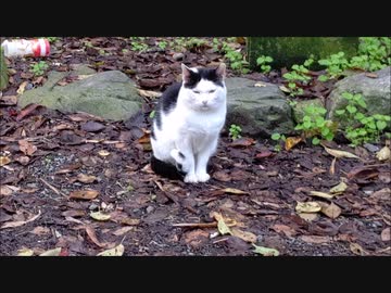 ２０２０年秋O３んぽのツーリング動画　part.1