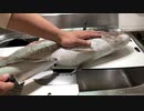 パンパンの腹に包丁入れたら見えない何か出た