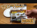 アオジタトカゲに初給餌！