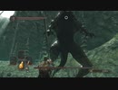 【DARK SOULS Ⅱ】今更始めるダクソⅡ初見実況　part29
